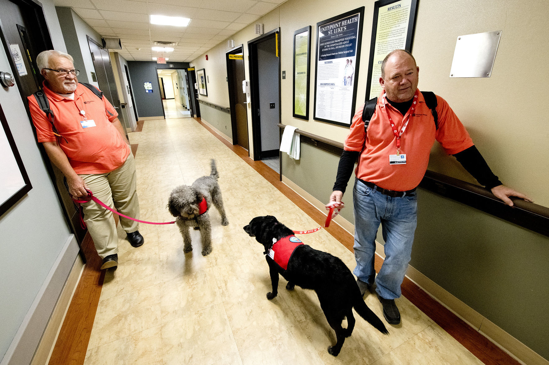 Hospital pet therapy